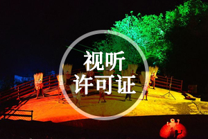 視聽許可證 視聽許可證