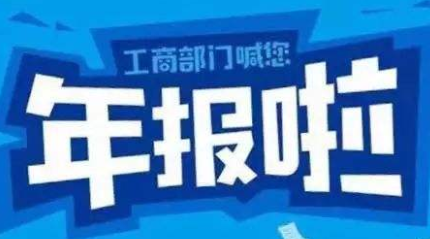 企業年報