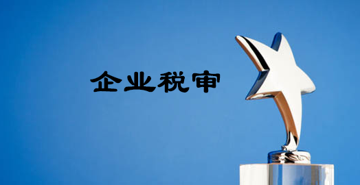 稅審-大通天成