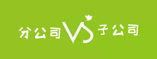 公司注冊分公司還是子公司