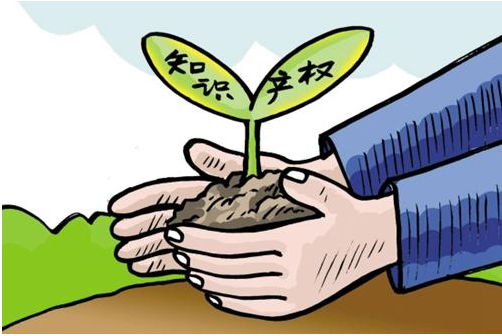 南開知識產權代理