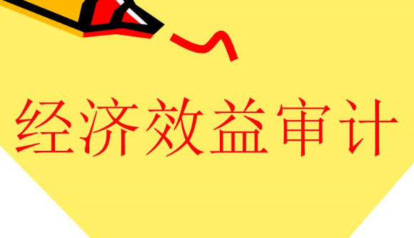 什么是經濟效益審計，有何特點？