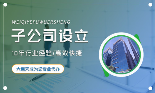 子公司設立條件,公司設立手續