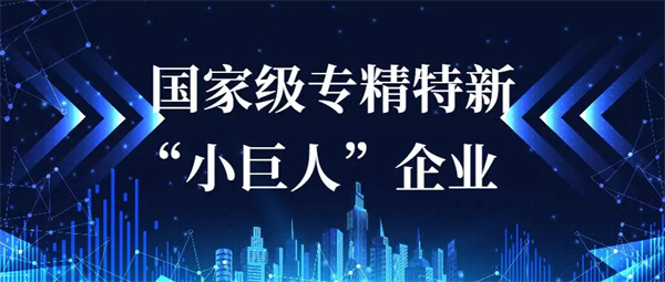 專精特新小巨人申報條件有哪些？