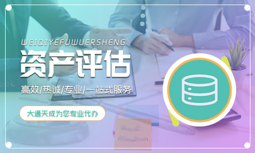 2024年(最新)資產評估報告模板